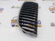 Grill Gitter Links 51137120009 BMW 3 serie (E90) Limousine 330i 24V (N53-B30A) 2008