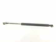 Gasdruckfeder Hinten 51248254281 BMW 3 serie (E46/4) Limousine 318d 16_V (M47N(204D4)) 2003