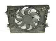 Lüfter Kühler 214819617R Dacia Lodgy (JS) Großraumlimousine 1.2 TCE 16V (H5F-402(H5F-C4)) 2012