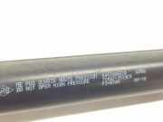 Gasdruckfedern Set Hinten 844308661R Renault IV 1.5 dCi D FAP Energy (90 CV) 2018