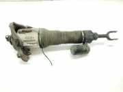 Stoßdämpfer Rechts Vorne 3W5616040L Bentley Continental Flying Spur Limousine 6.0 (BWR) 2008