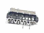 Zylinderkopf 110413019R Renault II FKW0 Profesional