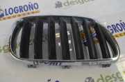 Grill Gitter Rechts 51113420088 BMW X5 (E70) SUV xDrive 40d 3.0 24V (N57-D30B) 2010