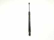Gasdruckfedern Set Hinten 81780G4000 Hyundai i30 (PDEB5/PDEBB/PDEBD/PDEBE) Schrägheck 1.5 DPi 16V (G4LG) 2022