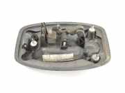 Türgriff Außen Rechts Vorne 0735423241 Fiat Ducato (250) Van 2.3 D 120 Multijet (F1AE0481D) 2006