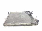 Radiator 1439101 BMW SERIE E53 3.0d