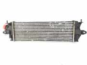 Ladeluftk?hler 8200411160C Renault Trafic New (FL) Van 2.0 dCi 16V 115 (M9R-786) 2009