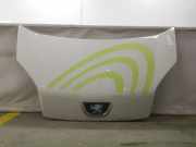 Motorhaube 7901Q0 Peugeot Bipper (AA) Van 1.4 HDi (DV4TD(8HS)) 2009