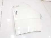 Kotflügel Rechts Vorne 1372144080 Fiat Ducato (250) Van 2.2 D 100 Multijet Euro 4 (P22DTE(4HV)) 2008