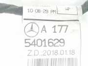 Kabelbaum PDC A1775401629 Mercedes-Benz A Limousine (177.1) Limousine 2.0 A-200d (OM654.920) 2020