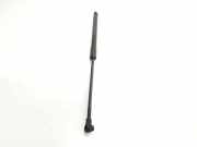 Gasdruckfedern Set Hinten 51247239871 BMW 1 serie (F20) Schrägheck 5-drs 118d 2.0 16V (B47-D20A)