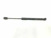 Gasdruckfeder Set Vorne 51237289753 BMW 7 serie (F01/02/03/04) Limousine 730d 24V (N57-D30A) 2012