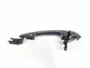 T?rgriff Au?en Links Vorne 51217433843 BMW X1 (F48) SUV xDrive 18d 2.0 16V (B47-C20A(Euro 6)) 2017