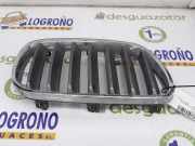 Grill Gitter Rechts 51113420088 BMW 2.0 16V D (150 CV) 2006