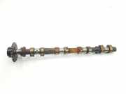 Nockenwelle 11312246496 BMW 3 serie (E46/4) Limousine 320d 16V (M47-D20(204D1)) 2001