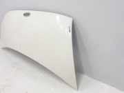 Motorhaube 4754207 Ford Transit RWD Van 2.4 TDdi 16V (D0FA) 2000