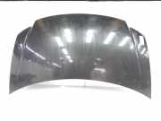 Motorhaube 4860455AF Chrysler Voyager/Grand Voyager (RG/RS) Großraumlimousine 2.8 CRD 16V (ENR) 2007