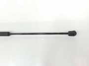 Gasdruckfeder Hinten 51242990136 BMW X1 (E84) SUV xDrive 20d 2.0 16V (N47-D20C) 2010