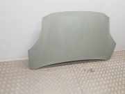 Motorhaube PL1TBS16610AB Ford Puma SUV 1.0 Ti-VCT EcoBoost Hybrid 12V (BZJA)
