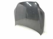 Motorhaube 4L0823029A Audi Q7 (4LB) SUV 3.0 TDI V6 24V (BUG) 2007