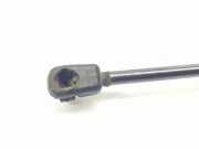 Gasdruckfedern Set Hinten 39117353 Opel X Edition
