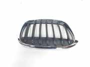 Grill Gitter Rechts 51137354824 BMW X1 (F48) SUV xDrive 18d 2.0 16V (B47-C20A(Euro 6)) 2017