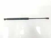 Gasdruckfeder Set Vorne 51237060550 BMW 3 serie Touring (E91) Kombi 330Xd 24V (M57N2-D30(306D3)) 2007