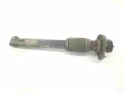 Stoßdämpfer Rechts Hinten 33521096278 BMW X5 (E53) SUV 3.0d 24V (M57-D30(306D1)) 2002
