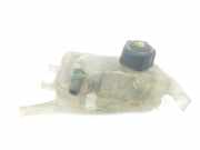 Ausgleichbeh?lter 217100005R Renault Megane III Berline (BZ) Schr?gheck 5-drs 1.5 dCi 110 (K9K-836(K9K-J8)) 2012