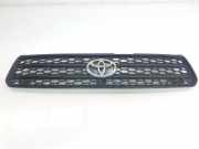 Grill 5310142100 Toyota RAV4 (A2) Geländewagen 2.0 16V VVT-i 4x4 (1AZFE) 2001