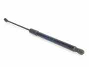 Gasdruckfedern Set Hinten 904525475R Dacia Sandero III Schrägheck 1.0 TCe 90 12V (H4D-470(H4D-E4))