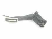 Gaspedalsensor 5Q1723503L Volkswagen 2.0 TDI (150 CV) 2022
