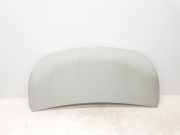 Motorhaube 651224338R Renault L1H1 29t Komfort