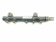 Einspritzdüsen Düsenstock 1570Q4 Citroën C3 (SC) Schrägheck 5-drs 1.4 HDi (DV4C(8HR)) 2015
