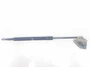 Gasdruckfeder Hinten 90451EB31B Nissan Pathfinder (R51) SUV 2.5 dCi 16V 4x4 (YD25DDTi) 2006
