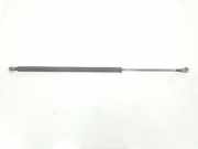 Gasdruckfeder Hinten 51243400379 BMW 2.0 16V D (150 CV) 2005