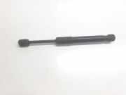 Gasdruckfeder Set Vorne 51237473453 BMW 1 serie (F40) Schrägheck 118d 2.0 16V (B47-C20B)
