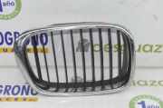 Grill Gitter Rechts 51137005838 BMW 5 serie (E39) Limousine 530d 24V (M57-D30(306D1)) 2003