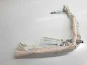 Vorhang Airbag Links VOOR 6218076040 Lexus UX SUV 250h 2.0 16V (M20A-FXS)