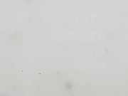 Scheibenwaschbehälter 8535560150 Toyota Land Cruiser (J12) Hardtop Geländewagen 3.0 D-4D 16V (1KDFTV)