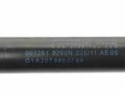 Gasdruckfeder Vorne A2079800764 Mercedes-Benz E (C207) Coupé E-350 CGI V6 24V BlueEfficiency (M276.957) 2013