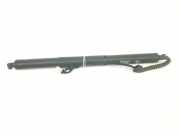 Gasdruckfeder Hinten 51247434042 BMW X5 (F15) SUV xDrive 40d 3.0 24V (N57-D30B) 2017