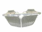 Grill 1489549693 Lancia Phedra Großraumlimousine 2.2 JTD 16V (DW12TED4(4HW)) 2006