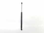 Gasdruckfedern Set Hinten 4L0827552E Audi Q7 (4LB) SUV 3.0 TDI V6 24V (BUG) 2007