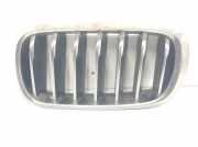 Grill Gitter Links 51137349387 BMW X6 (F16) SUV xDrive30d 3.0 24V (N57-D30A) 2014
