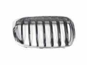 Grill 51137354824 BMW X1 (F48) SUV xDrive 18d 2.0 16V (B47-C20A(Euro 6)) 2017