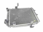 Radiator 8E0121212D Audi S4 (B6) Limousine 4.2 V8 40V (BBK) 2005