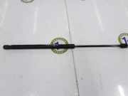 Gasdruckfeder Hinten 8V41S406A10BC Ford Kuga I SUV 2.0 TDCi 16V (G6DG) 2009