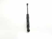 Gasdruckfeder Set Vorne 654705053R Renault Trafic (1FL/2FL/3FL/4FL) Van 1.6 dCi 125 Twin Turbo (R9M-452)