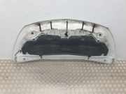 Motorhaube 6510000Q0N Nissan NV 300 Van 2.0 dCi 16V 120 (M9R-710(M9R-V7))